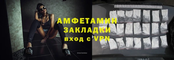 молекула духа Богданович