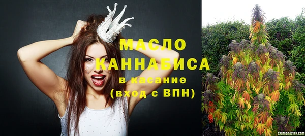 сатива Балахна