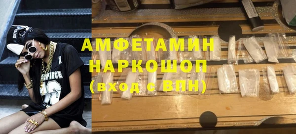молекула духа Богданович