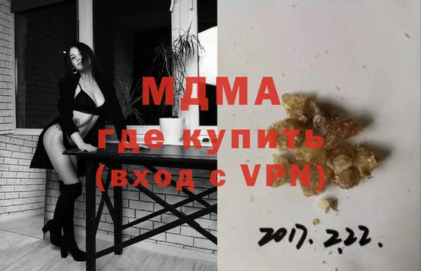 молекула духа Богданович