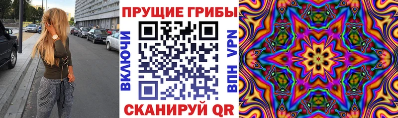 Купить закладки  Себеж  Галлюциногенные грибы прущие грибы 